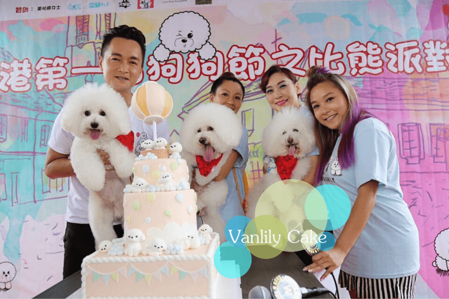 Vanlily Cake 自訂主題糖皮蛋糕，展示精緻的手工塑形技術與細膩裝飾，適合公司週年慶、商務活動或成人主題派對等專業訂造需求。