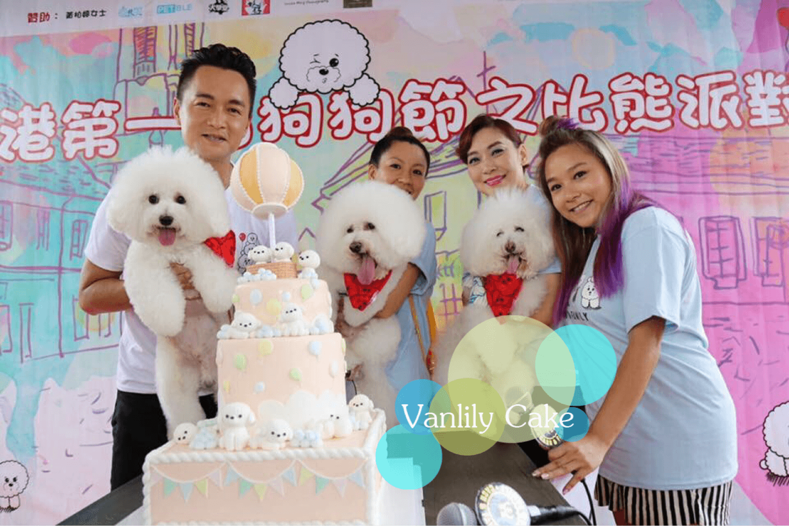 Vanlily Cake 自訂主題糖皮蛋糕，展示精緻的手工塑形技術與細膩裝飾，適合公司週年慶、商務活動或成人主題派對等專業訂造需求。