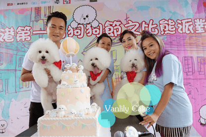 Vanlily Cake 自訂主題糖皮蛋糕，展示精緻的手工塑形技術與細膩裝飾，適合公司週年慶、商務活動或成人主題派對等專業訂造需求。