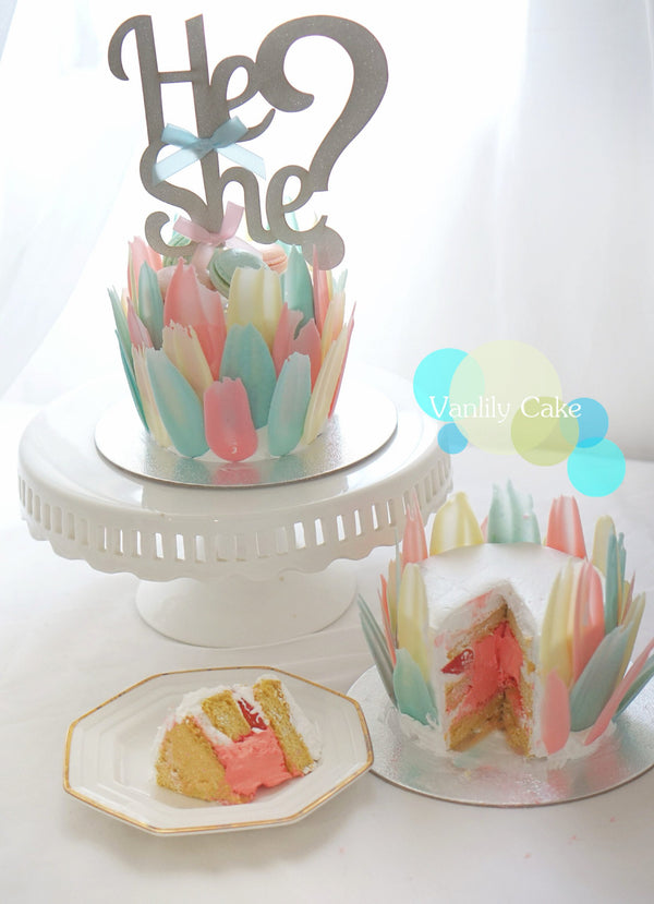Vanlily Cake 性別揭曉蛋糕，外層環繞彩色羽毛巧克力及 He or She 插牌，切開展示粉紅色鮮奶油鮮果內餡與海綿蛋糕。