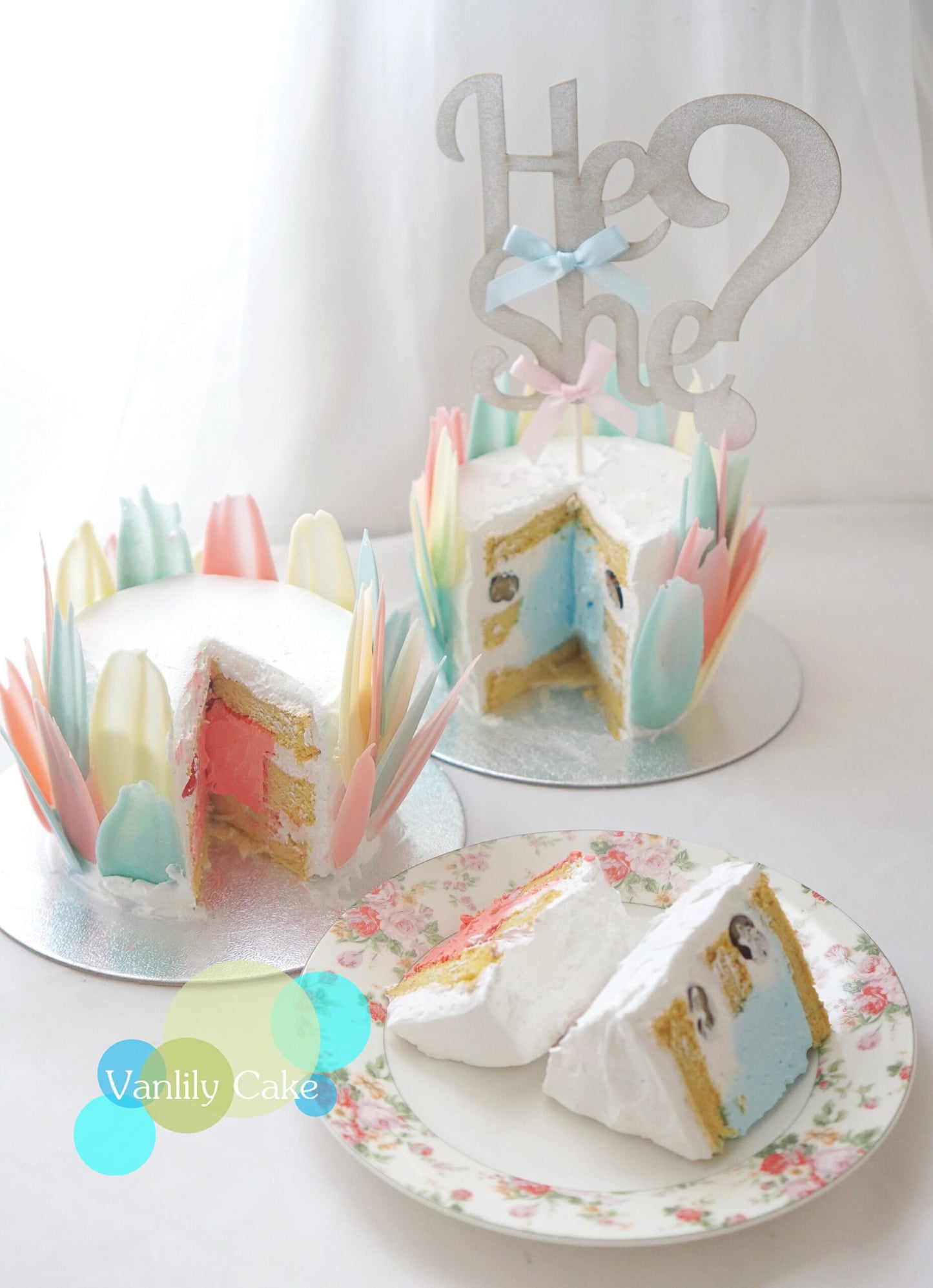 Vanlily Cake 性別揭曉蛋糕，外層環繞彩色羽毛巧克力及 He or She 插牌，切開展示粉紅色鮮奶油鮮果內餡與海綿蛋糕。
