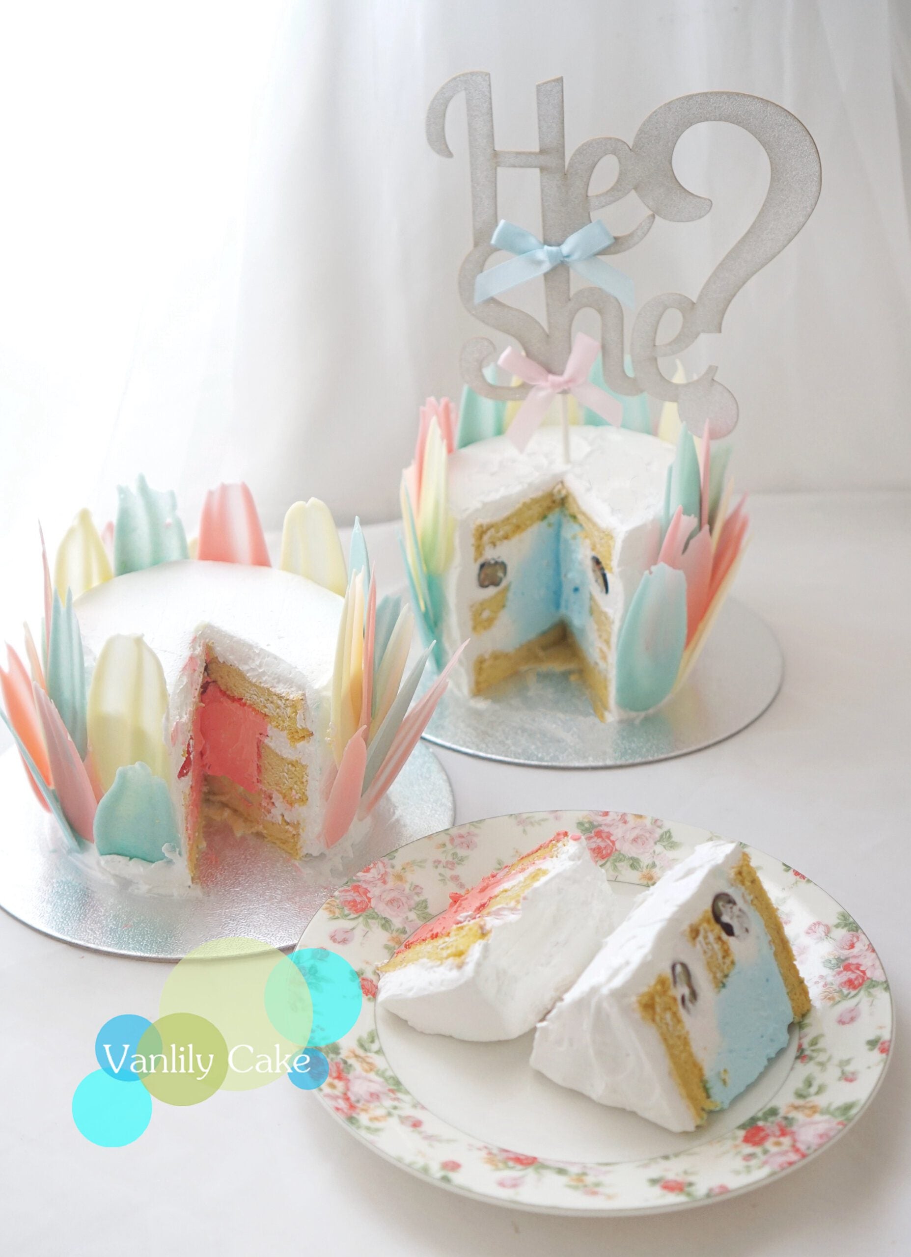 Vanlily Cake 性別揭曉蛋糕，外層環繞彩色羽毛巧克力及 He or She 插牌，切開展示粉紅色鮮奶油鮮果內餡與海綿蛋糕。