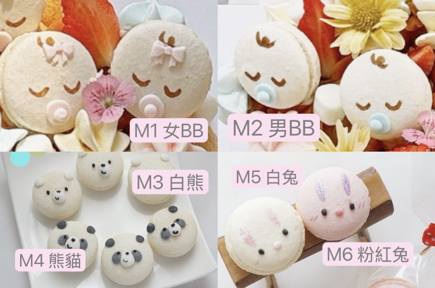 動物Macaroon 套裝