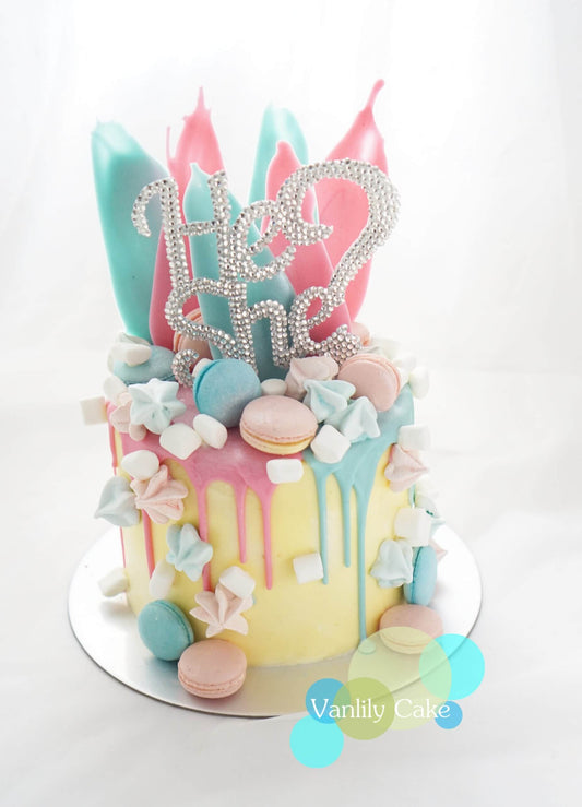 He or She Gender Reveal Buttercream Cake
