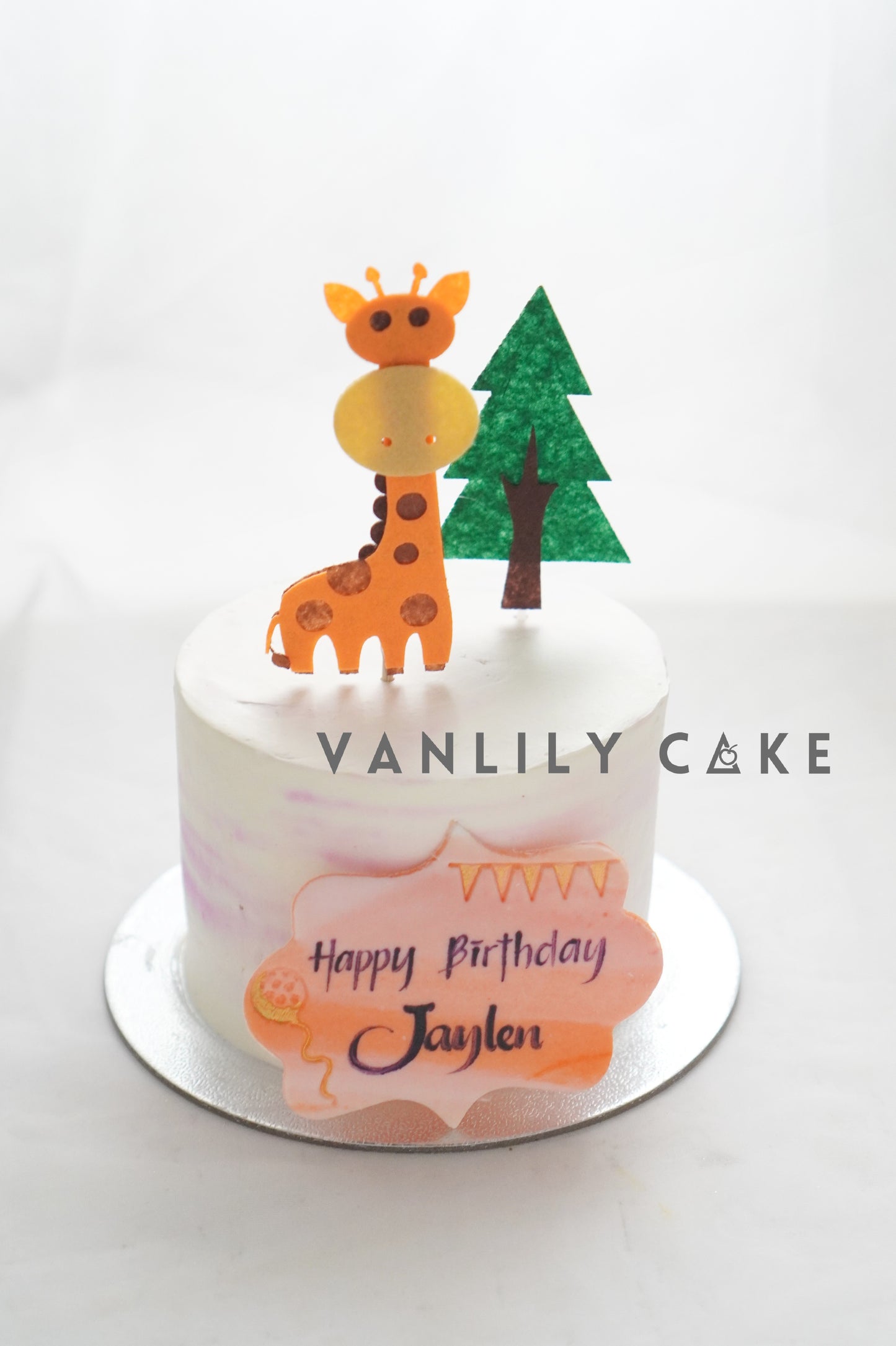 Vegan Sugar-Free Dinosaur Cake