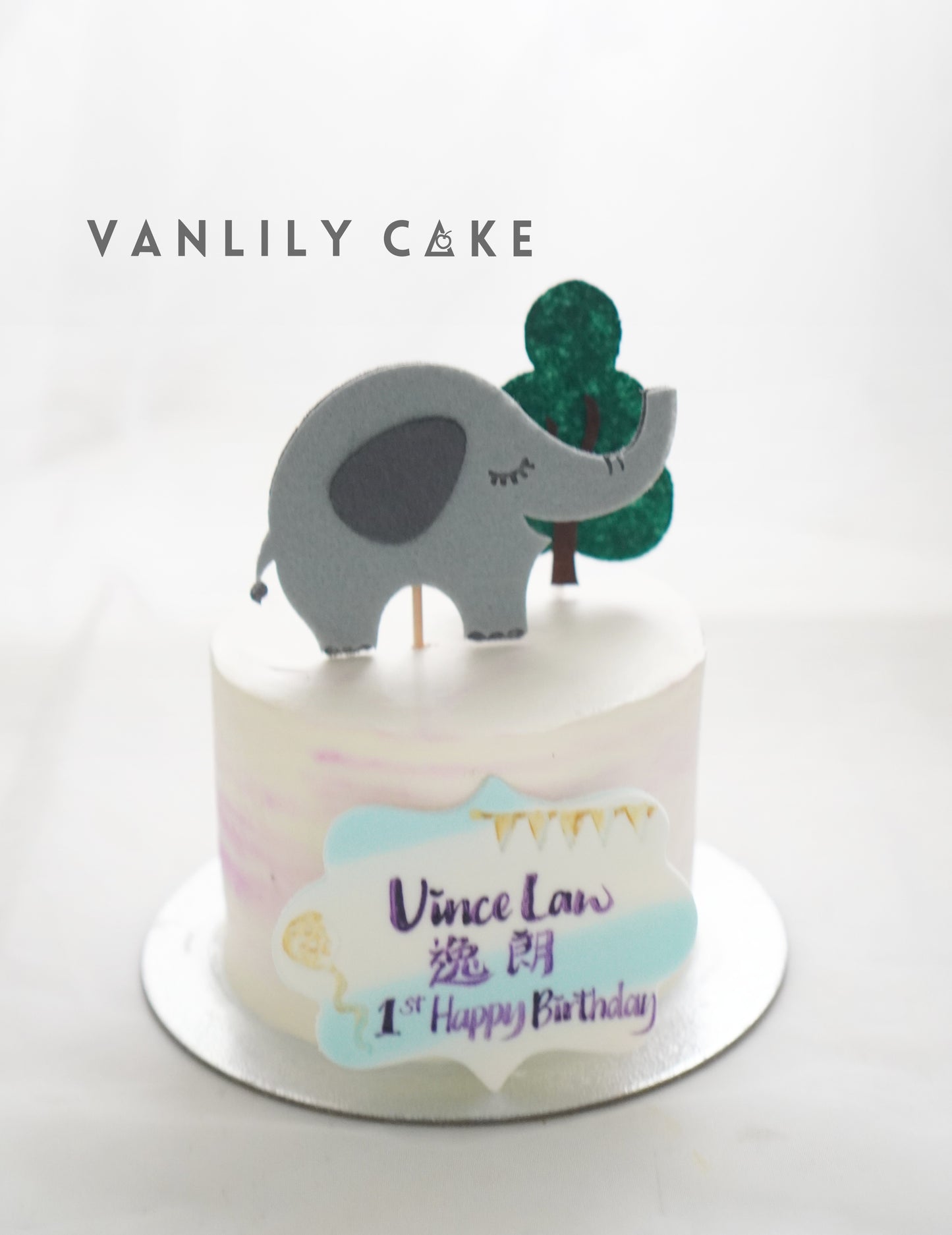 Vegan Sugar-Free Dinosaur Cake