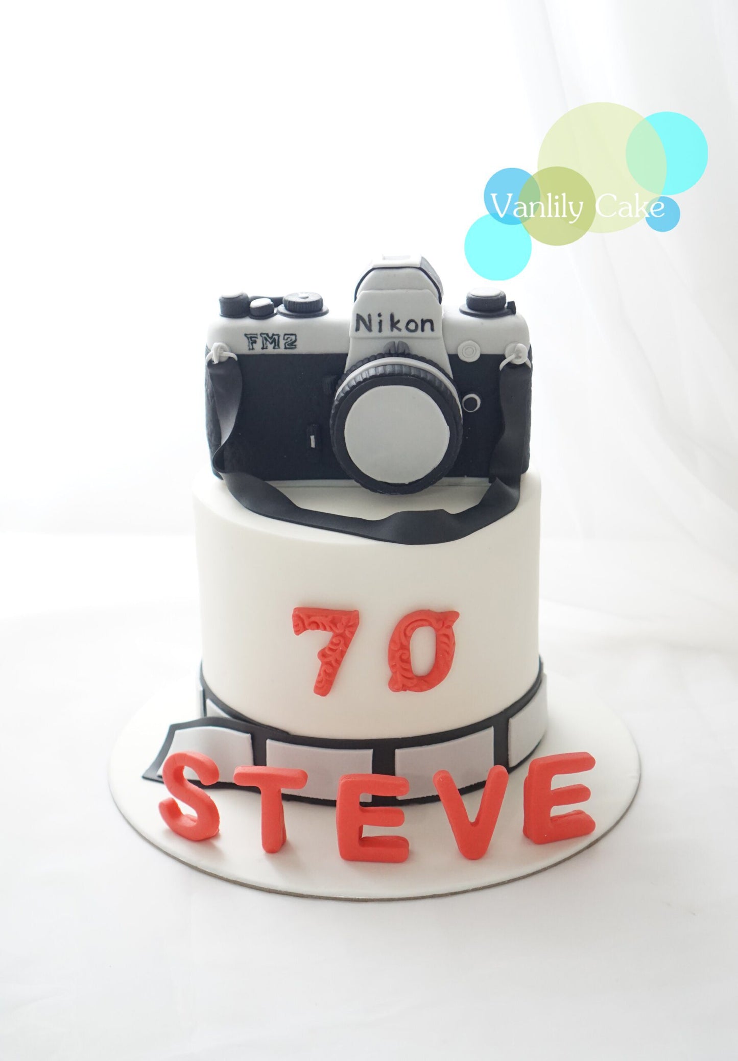 Camera Fondant Cake