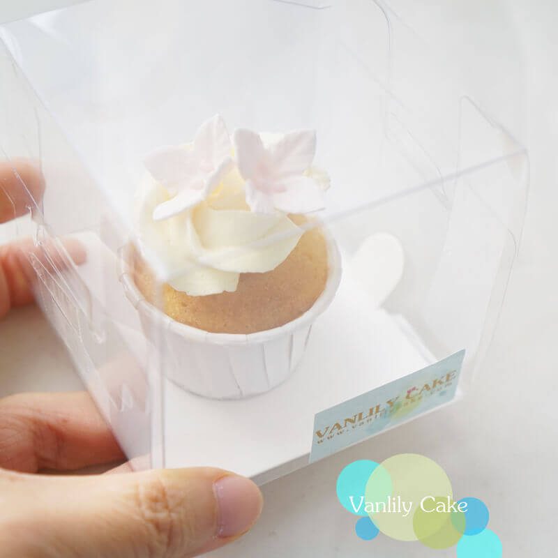 Bunny Vegan Sweet Potato Pumpkin Cupcakes