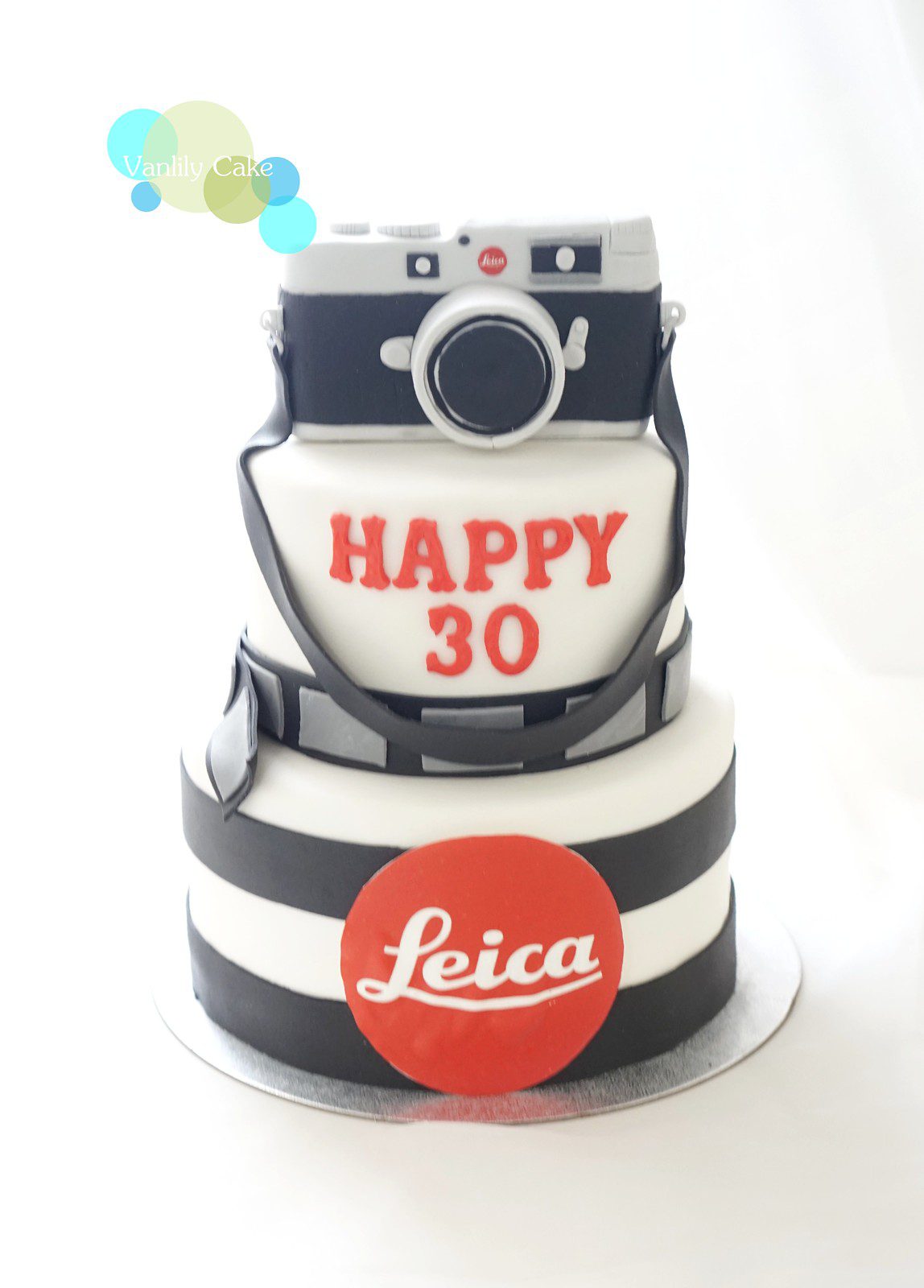 Camera Fondant Cake