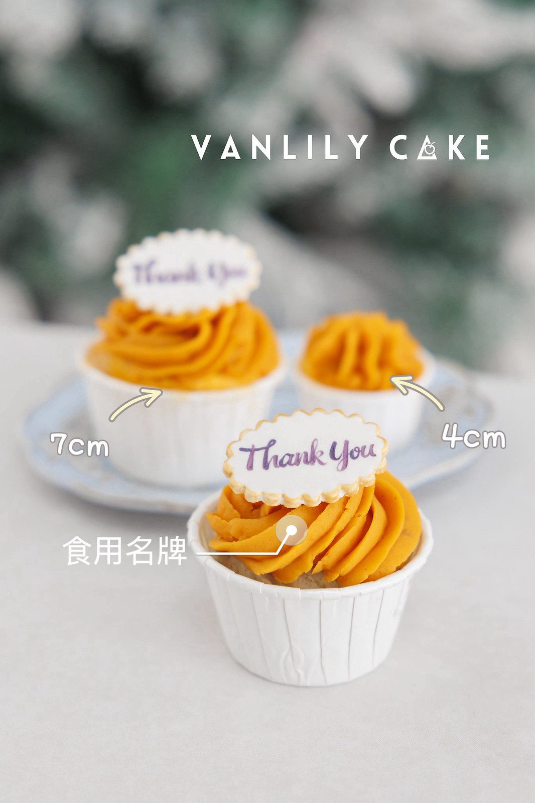 無糖cupcake