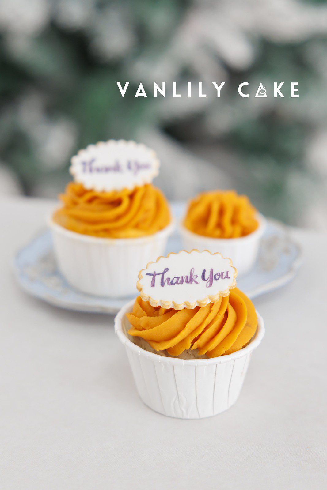 無糖cupcake