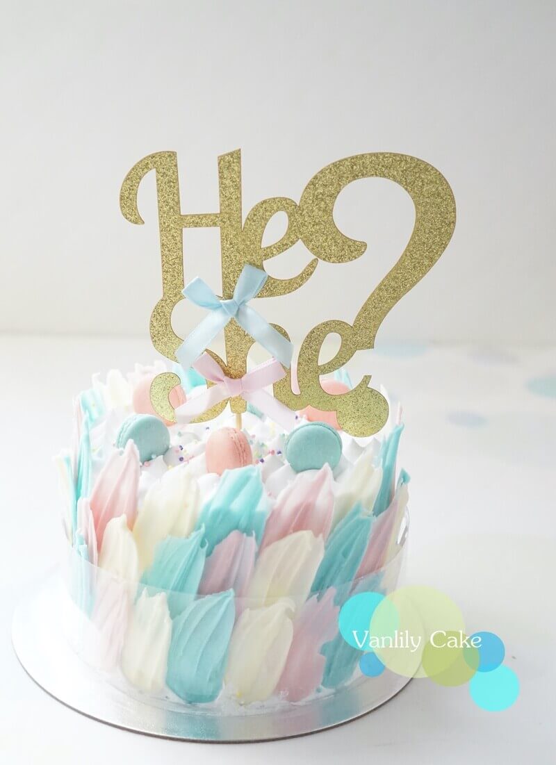 Vanlily Cake 性別揭曉蛋糕，外層環繞彩色羽毛巧克力及 He or She 插牌，切開展示粉紅色鮮奶油鮮果內餡與海綿蛋糕。