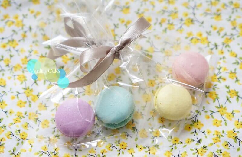 動物Macaroon 套裝