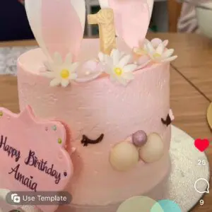 無糖 Rabbit BB Cake - Image 5