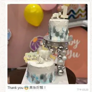 森林系忌廉蛋糕 Double up Cake Tower - Image 9