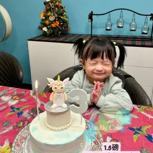 無糖米蛋糕 (配公仔) Sugar-free Rice Cake (with Figure) - Image 18