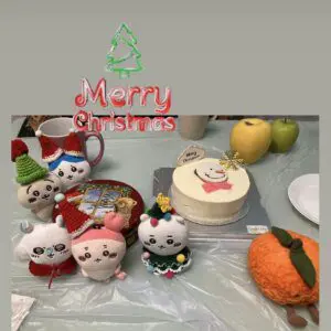 聖誕純素豆腐蛋糕 - Image 4