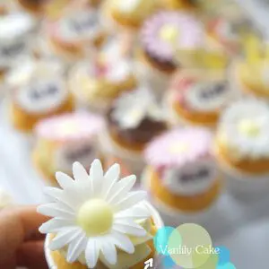 Cupcake 杯子蛋糕 (指定款式) Standard Style - Image 8