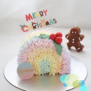 聖誕半圓彩虹蛋糕cake smash