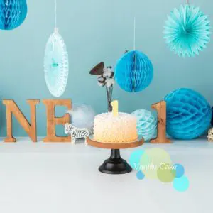忌廉蛋糕 Cream Cake Smash - Image 8