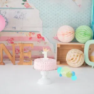 忌廉蛋糕 Cream Cake Smash - Image 7